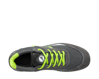 Preview: AXIS GREEN LOW Preview: AXIS GREEN LOW