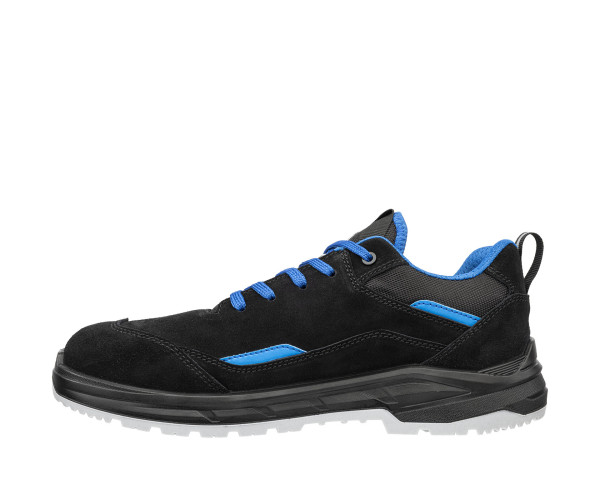 VECTOR BLUE LOW