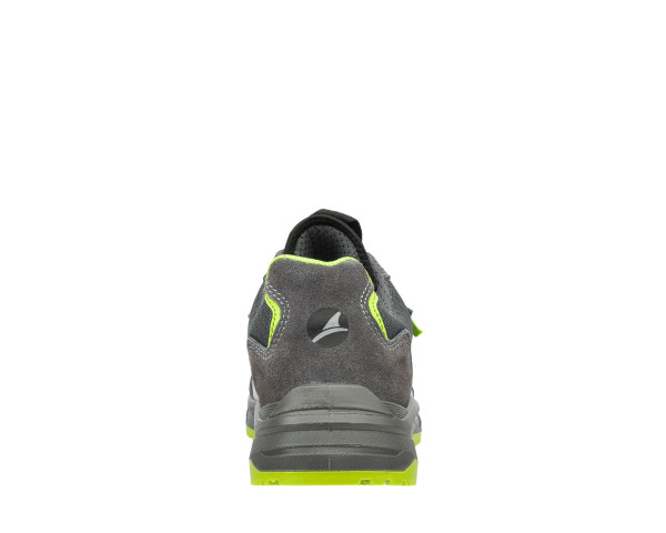 AXIS GREEN LOW